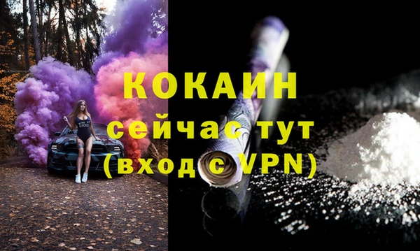 индика Горно-Алтайск