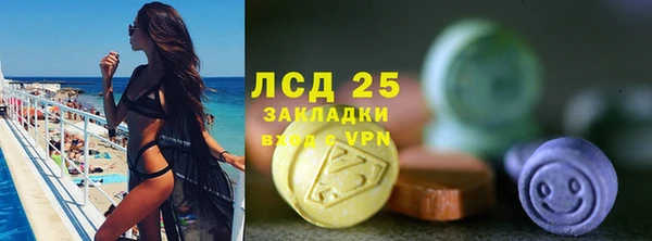 индика Горно-Алтайск