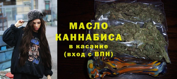 индика Горно-Алтайск