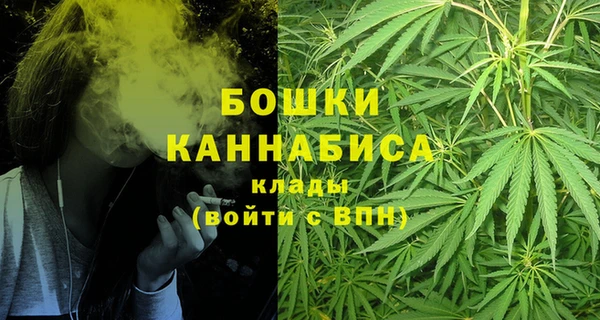 крисы Горняк