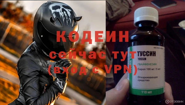 крисы Горняк
