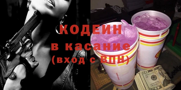 индика Горно-Алтайск
