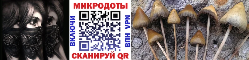 Псилоцибиновые грибы мицелий  Купить  Сарапул 
